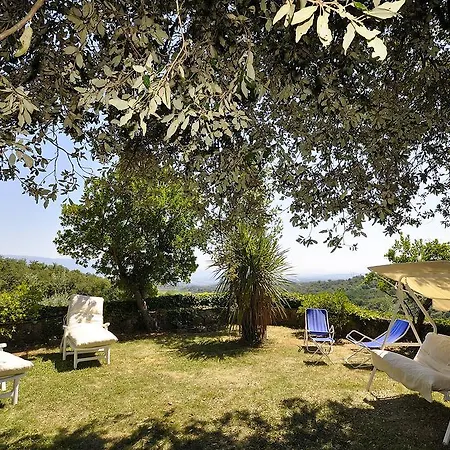 Ulivacci By Posarellivillas Villa